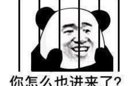 笑到肚子痛的100个笑话（笑到抽筋的幽默笑话合集）