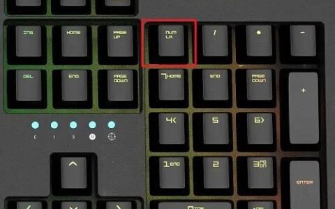 电脑键盘打不了字按哪个键恢复（键盘被锁的解决方法）