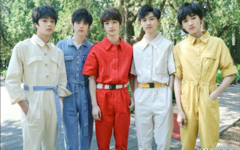台风少年团为什么解散（台风少年团成员介绍）