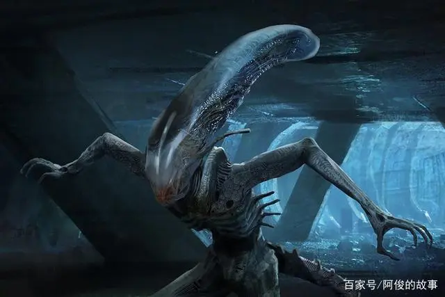 异形系列电影观看顺序（附：异形整个系列故事线介绍）